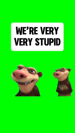 WE’RE VERY STUPID