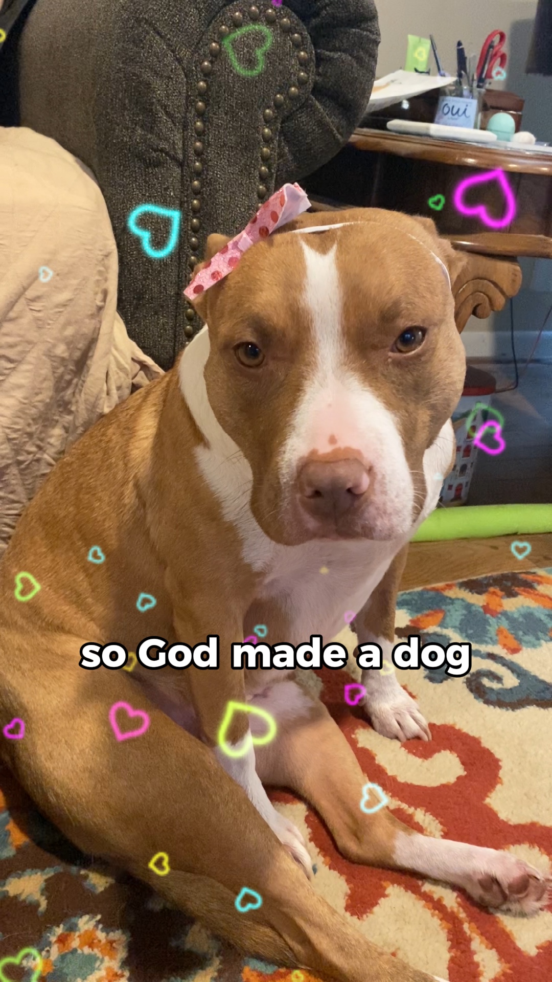 DIOS HIZO UN PERRO 🐶🥺