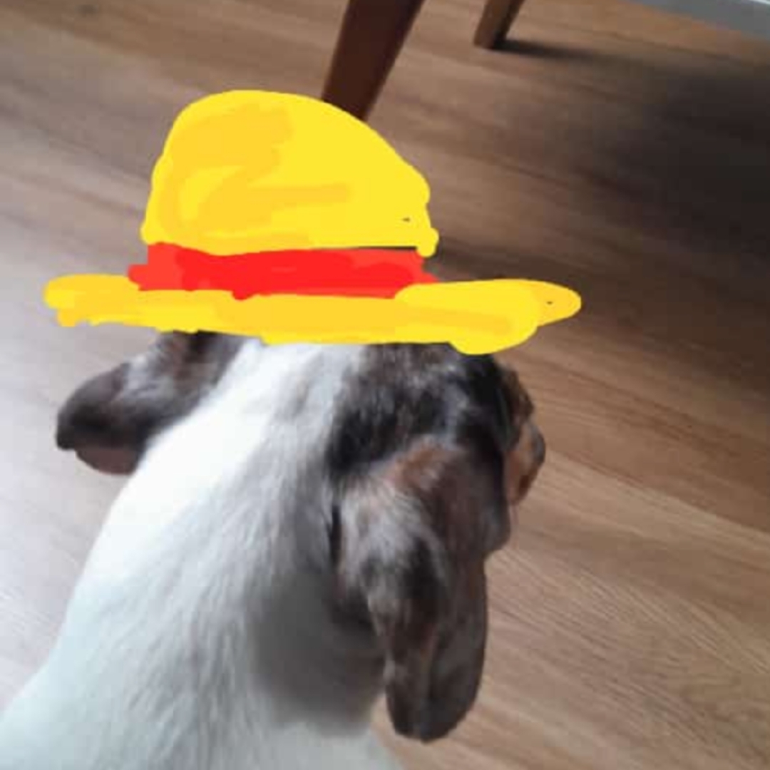 oque eu assistoKKKKK