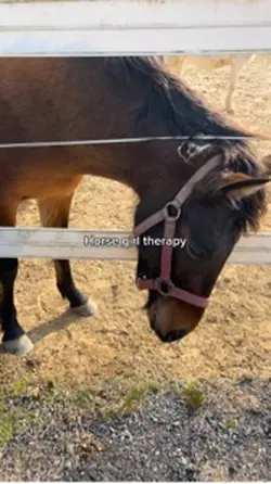 Horse girl therapy