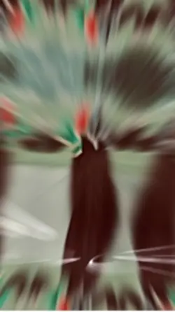 شما هرجا دیدیت بزنید