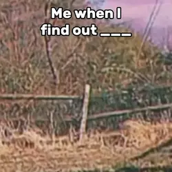 When I Find Out ___