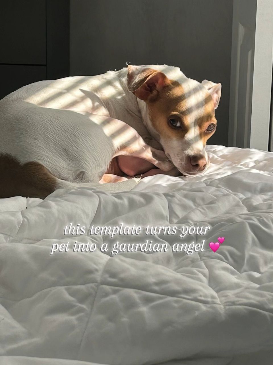Meu anjo da guarda 💕