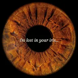 i'm lost in yr iris