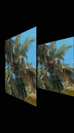 6 Videos SliceRotate