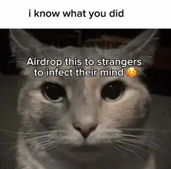 Ik what you did