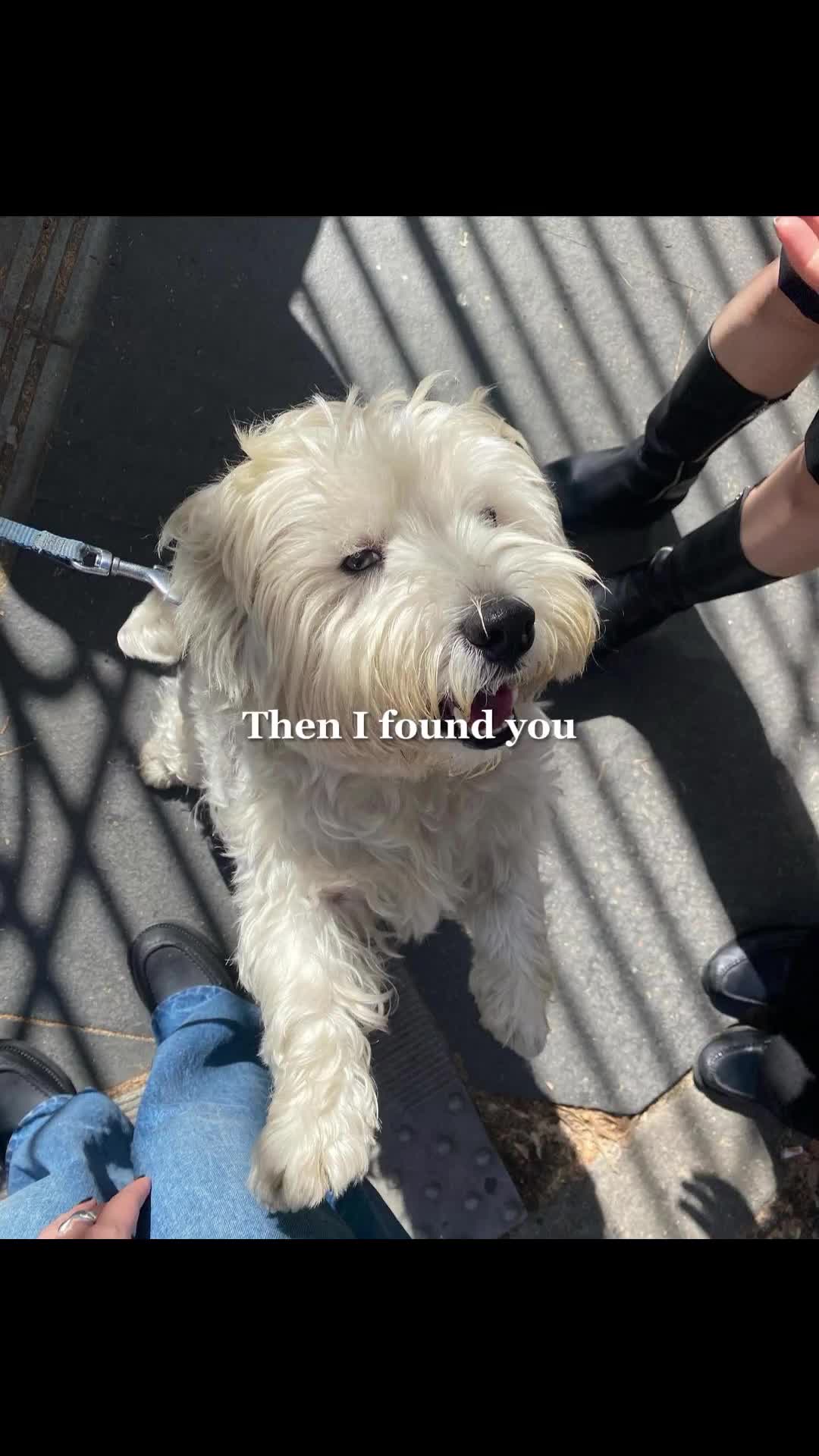 cehennem n geri