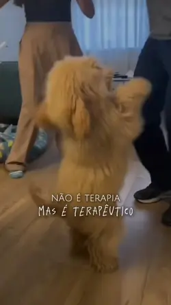 Amo meu pet <3