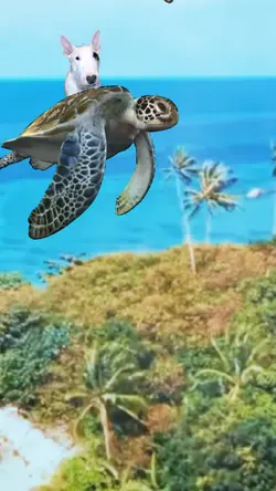 Flying Sea Turtle