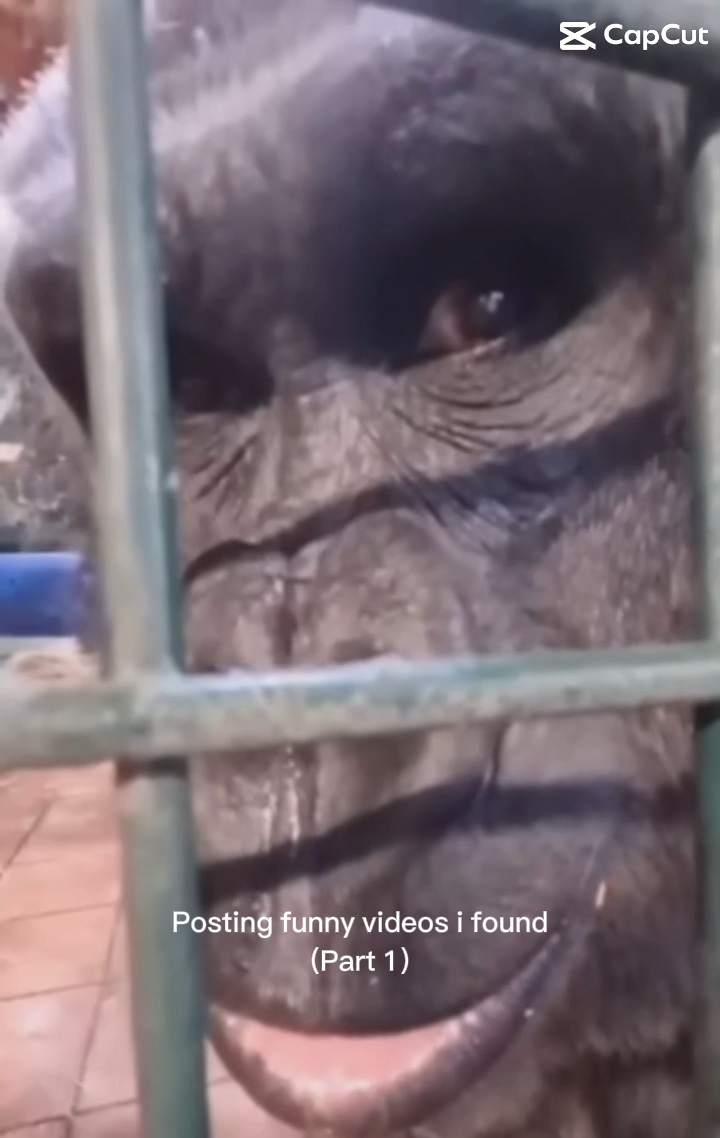 They got u locked up