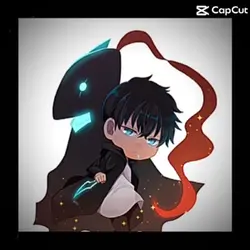 Solo leveling 