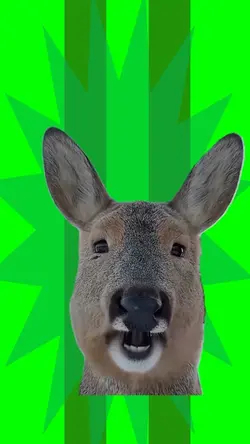 Deer Chewing