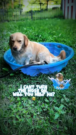 Fill my pool? 🩵💙