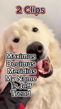Maximus Decimus