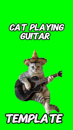 Cat guitar 