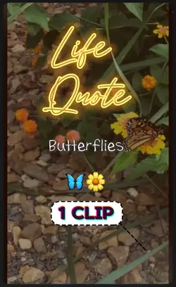 Quote Butterflies 🦋