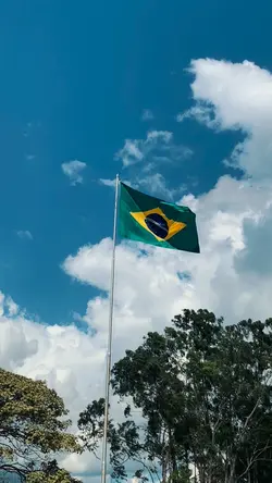 Luz câmera ação🎬