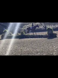 fake!!⚠️⚠️‼️