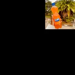 fanta orangeee 🍊🍊