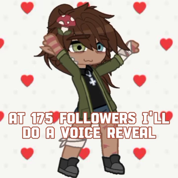 no one follow me