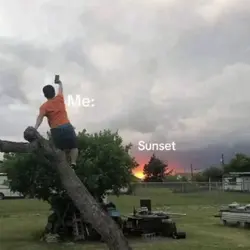 sunsett