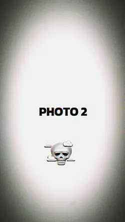 SKULL FACE 1:1