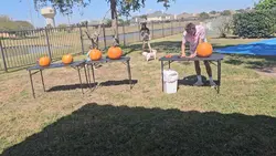 carving pumpkins