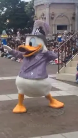 Donald Duck Meme