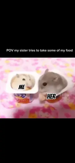 Hamster meme