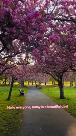 Beautiful Day 🌸