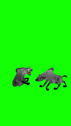 Hyenas laughing
