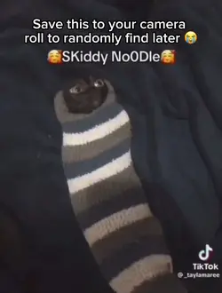 SKEDDI NOODLE