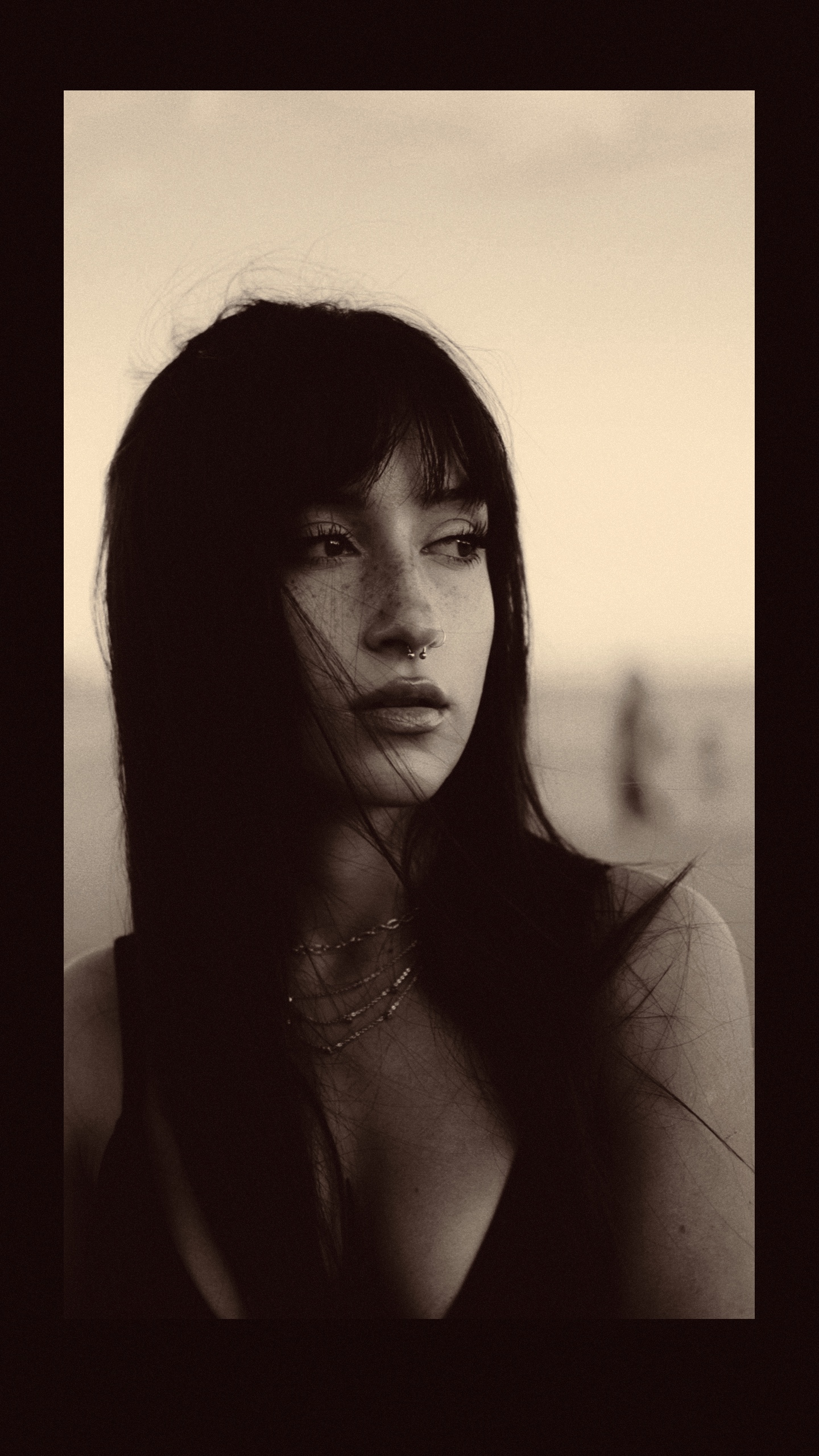 Transition sepia 