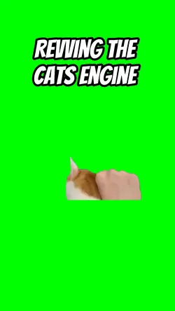 Revving the cats ent