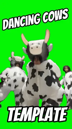 Dancing Cows 