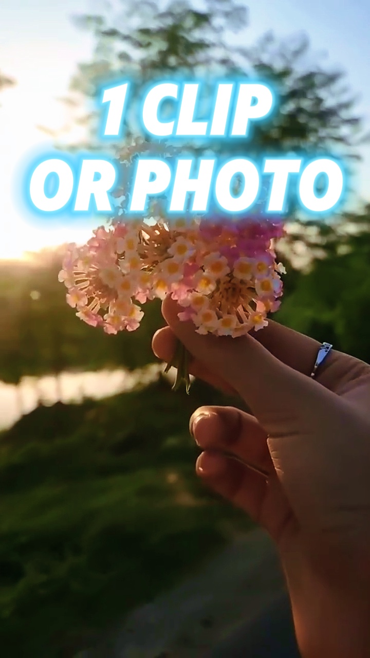 1 clip or photo 