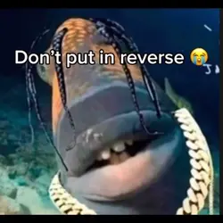 Donโt reverse ๐๐ญ๐ญ