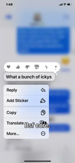 Bsf core. 🤷‍♀️