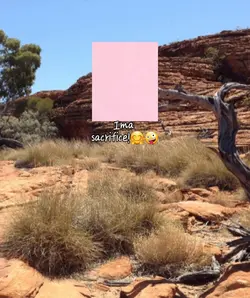 ima sacrifice!