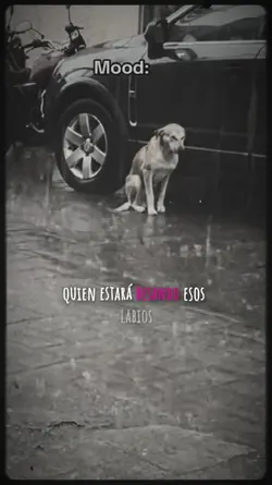 Lo que hay x aquí 