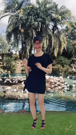 Lake Flamingos Palms