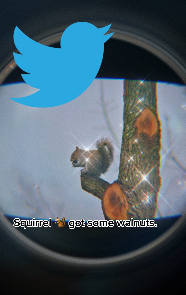 Ardilla 🐿️ 