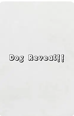 Dog Reveal!! 🐶❤️
