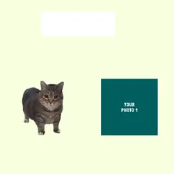 cat uiiaa all i want