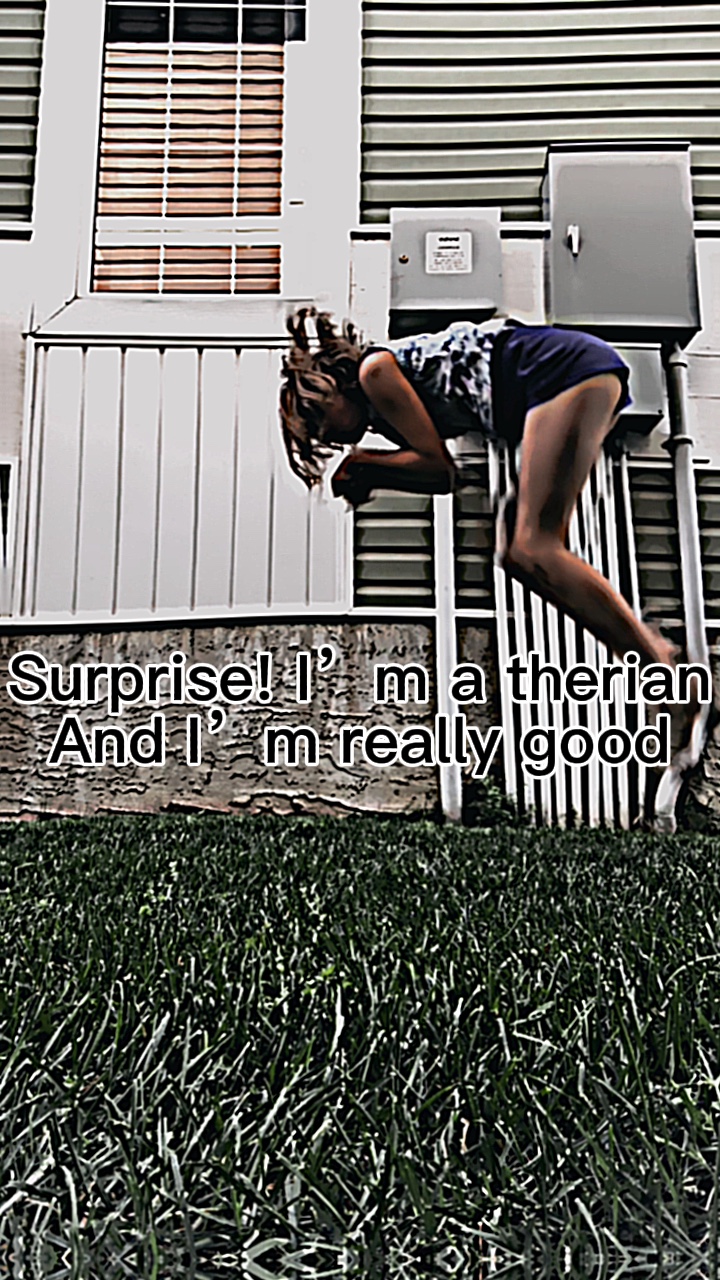 I’m a therian