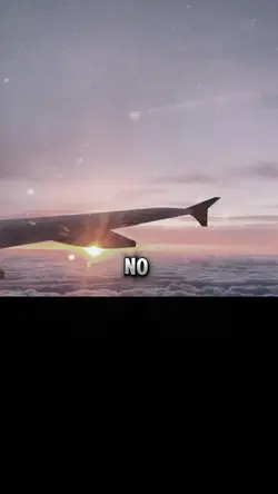 La playa 🪼🏝️🏖️