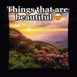 Beautiful 