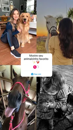 Dia dos animais ❤️