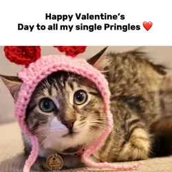 Happy valentines 💌