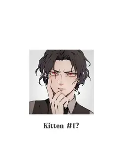 KITTEN AUDS 😏